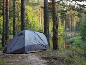 Wilderness Adventures Lost in Nature’s Raw Beauty